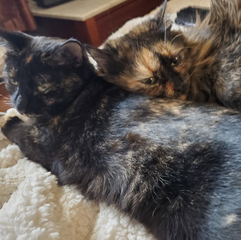 Unconditional LOVE